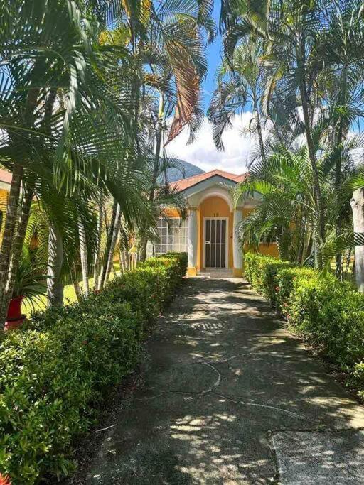 Villa De Ali In Palma Real La Ceiba Exteriér fotografie